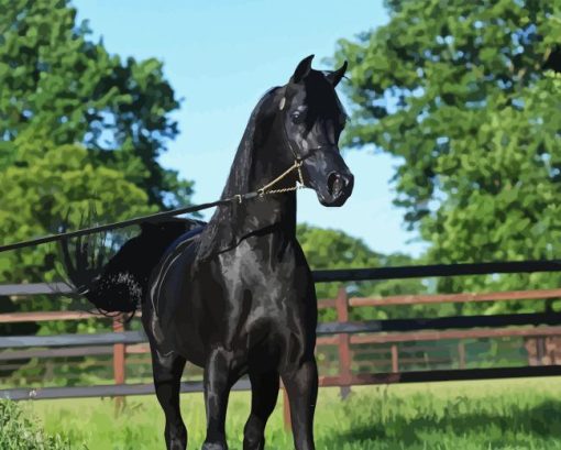 Arabian Horse Diamond Painting