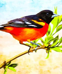 Baltimore Oriole Diamond Painting