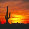 Cactus Desert Sunset Diamond Painting