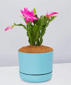Flowering Blue Plant Vase Diamond Painting