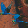 Flying The Lears Macaw Diamond Painting