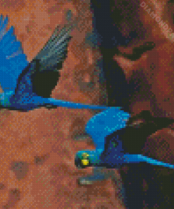 Flying The Lears Macaw Diamond Painting
