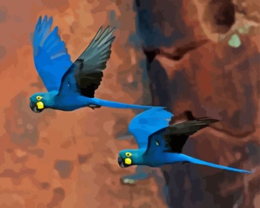 Flying The Lears Macaw Diamond Painting