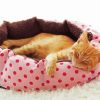Ginger Cat Bed Diamond Painting