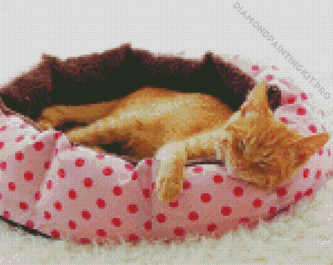 Ginger Cat Bed Diamond Painting
