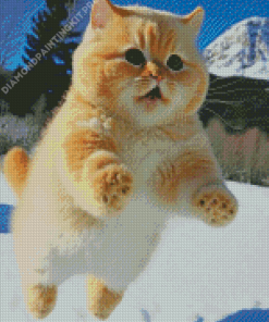 Kitten Enjoyin Snow Diamond Painting