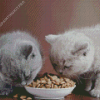Kitten With Food Diamond Painting