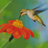 Mexican Sunflower With Hummingbird Diamond Painting