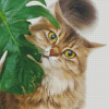 Monstera and Cat Animal Diamond Painting