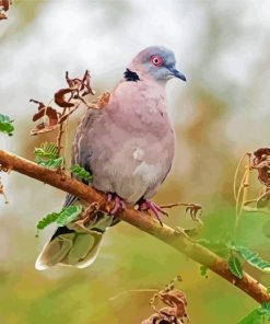 Mourning Dove Diamond Painting