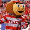 Ohio State Mascot Brutus Buckeye Diamond Painting