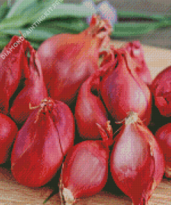 Red Shallots Diamond Painting