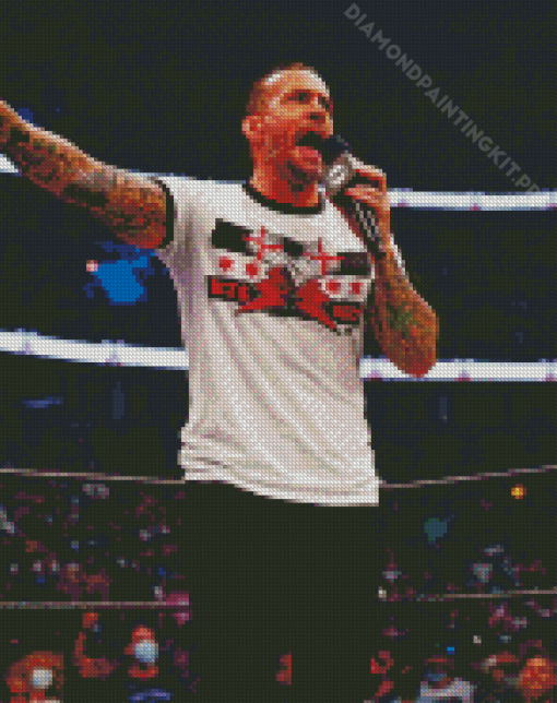 The Wrestler Cm Punk Diamond Painting