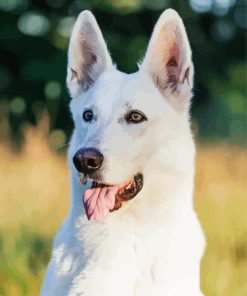 White German Shepherd Dog Diamond Painting