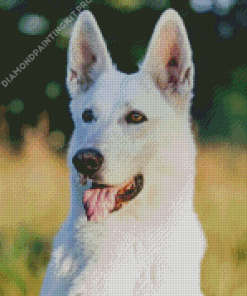 White German Shepherd Dog Diamond Painting