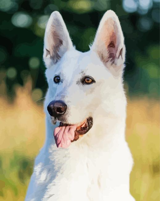 White German Shepherd Dog Diamond Painting