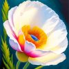 White Poppy Flower Diamond Painting
