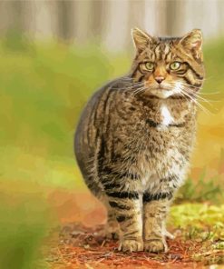 Wildcat Animal Diamond Painting
