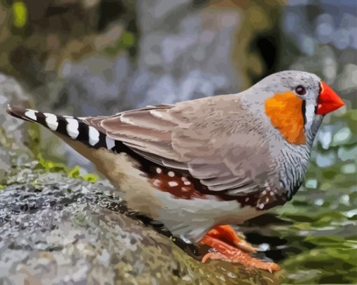 Zebra Finch Diamond Painting