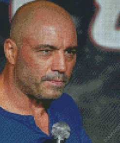 Joe Rogan Diamond Painting