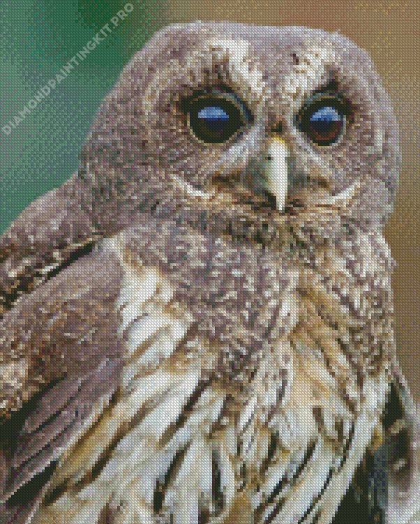 Marbled Owl Diamond Painting