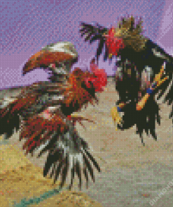 Rooster Fighting Diamond Painting