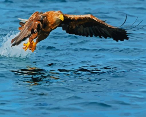 Sea Eagle Catching Fish Diamond Painting