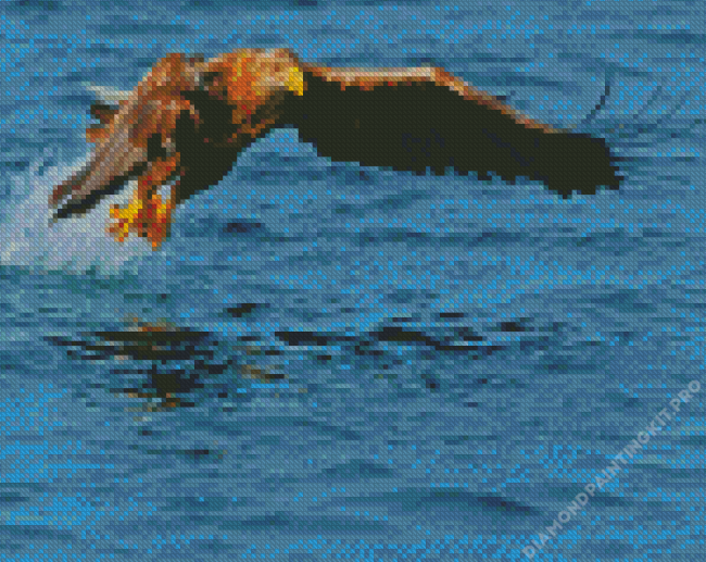 Sea Eagle Catching Fish Diamond Painting