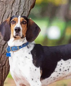 Treeing Walker Coonhound Diamond Painting