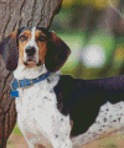 Treeing Walker Coonhound Diamond Painting