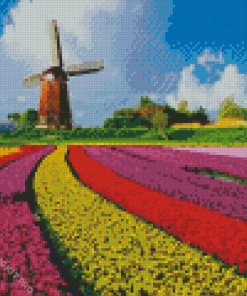 Tulips In Holland Diamond Painting