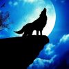 Wolf With Moon Diamond Painting