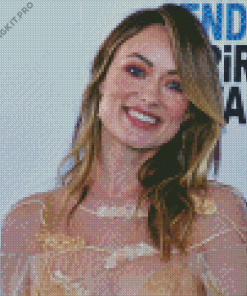 Olivia Wilde Diamond Painting