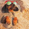 Dachshund At Beach Diamond Painting