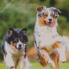 Herding Dog Diamond Painting