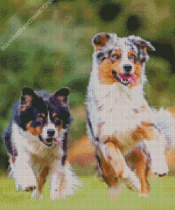 Herding Dog Diamond Painting