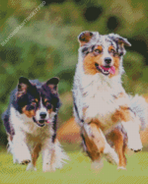 Herding Dog Diamond Painting