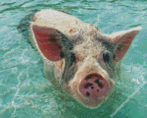 Pig In The Beach Diamond Painting