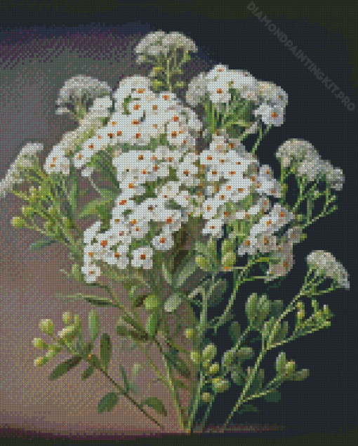 White Alyssum Diamond Painting