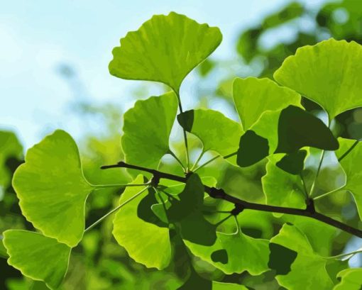 Ginkgo Tree Diamond Painting