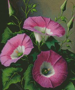 Morning Glory Diamond Painting