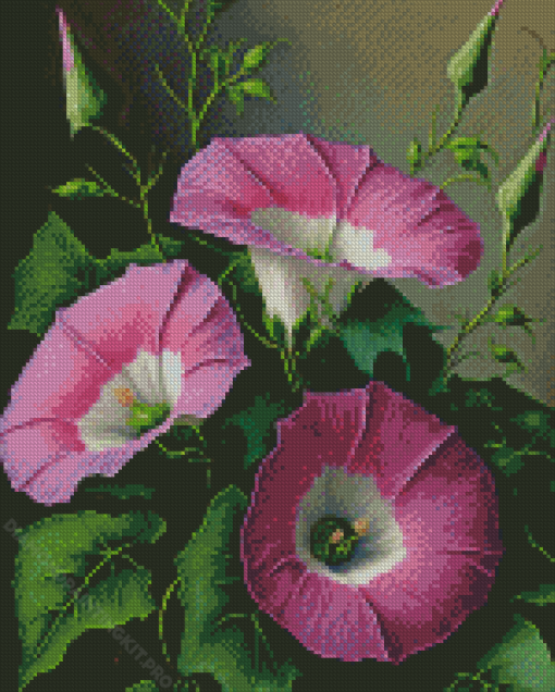 Morning Glory Diamond Painting