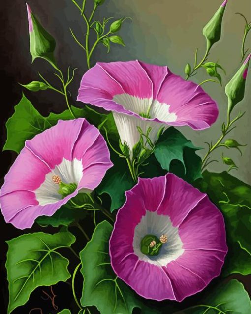 Morning Glory Diamond Painting