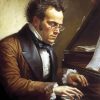Franz Schubert Diamond Painting