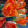 Parrot Tulips Flowers Diamond Painting