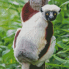 Sifaka Diamond Painting