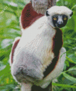 Sifaka Diamond Painting