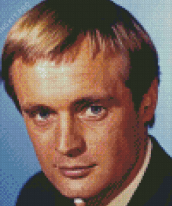 David Mccallum Diamond Painting