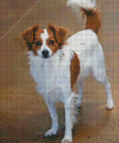 Kooikerhondje Diamond Painting