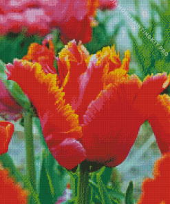 Parrot Tulip Diamond Painting